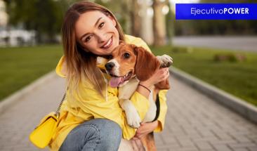 Nuevo tratamiento anual protege a perros de par&aacute;sitos durante todas las estaciones