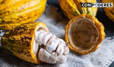 Expertos suizos desarrollan chocolate dulce sin az&uacute;car utilizando toda la fruta