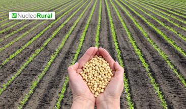 Aumentan las exportaciones agroindustriales de Brasil hacia China