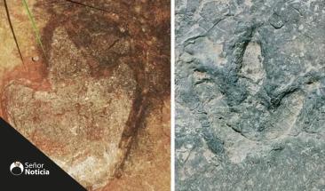 Investigadores revelan la existencia de una "autopista" prehist&oacute;rica de los dinosaurios