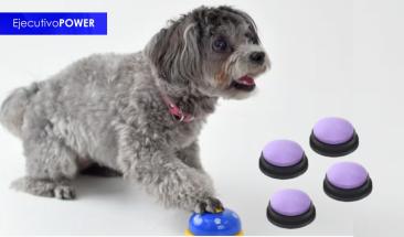 Estudio confirma que los perros se comunican mediante tableros de sonido