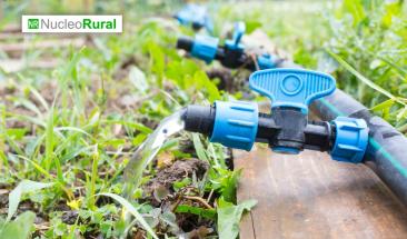 Sistemas de riego sostenibles para un futuro m&aacute;s verde