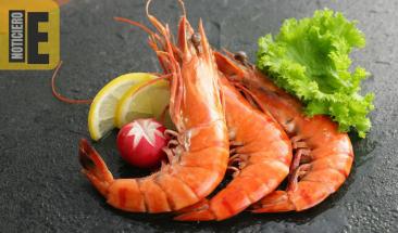 Ecuador: gran &eacute;xito en la primera edici&oacute;n del Festival del Camar&oacute;n