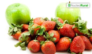 Investigadores desarrollan hidrogel ecol&oacute;gico que protege y prolonga vida de frutas