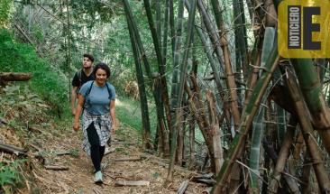 Consejos para un viaje seguro y placentero en la selva tropical
