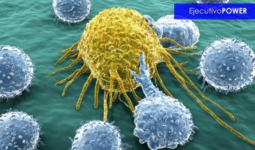 Descubren prote&iacute;na clave que alimenta el crecimiento del c&aacute;ncer