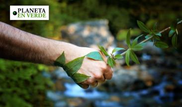 Latinoam&eacute;rica enfrenta aumento alarmante en asesinatos de ambientalistas