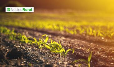 El exceso de nitr&oacute;geno en la agricultura da&ntilde;a el medio ambiente