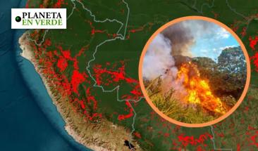 Defensor&iacute;a del Pueblo pide acci&oacute;n urgente ante incendios forestales en Per&uacute;