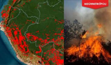 Mancomunidad Amaz&oacute;nica exige declarar emergencia ambiental por incendios forestales
