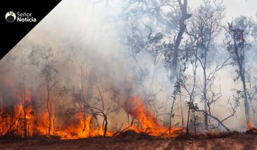 Colombia enfrenta incendios forestales que arrasan miles de hect&aacute;reas