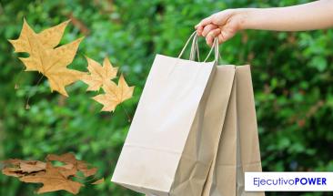 Startup convierte hojas secas en papel sin necesidad de talar &aacute;rboles