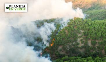 Los incendios devastan Am&eacute;rica del Sur en r&eacute;cord hist&oacute;rico de fuego