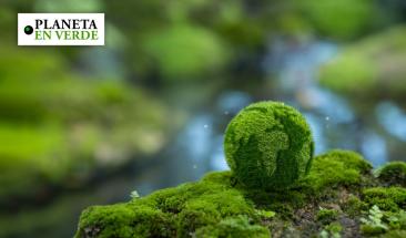 &iquest;Qu&eacute; acciones realmente est&aacute;n reduciendo la huella de carbono?