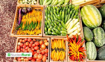 Brasil, Argentina y M&eacute;xico dominan el comercio agr&iacute;cola en Am&eacute;rica Latina