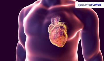 Mant&eacute;n tu coraz&oacute;n sano: claves para cuidar la salud cardiovascular