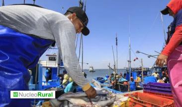 Sanipes se convierte en la nueva Autoridad Nacional de Sanidad e Inocuidad en Pesca y Acuicultura