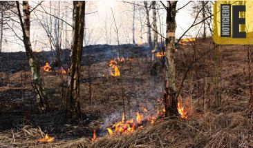 Salud de ni&ntilde;os peruanos en peligro por incendios forestales