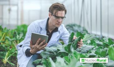 Cient&iacute;ficos de Chile replican condiciones espaciales para cultivos exoplanetarios