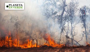 Propuesta de ley busca prevenir los incendios forestales en Per&uacute;