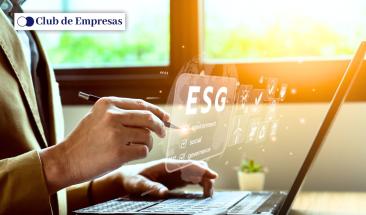 Estrategias para triunfar en un mercado consciente