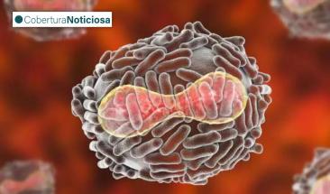 La Rep&uacute;blica Democr&aacute;tica del Congo inicia vacunaci&oacute;n contra viruela del mono