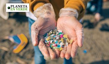 Cada semana ingerimos cinco gramos de pl&aacute;stico sin saberlo