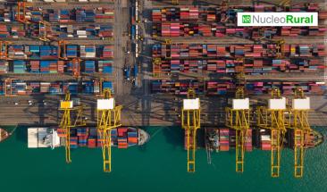 Agroexportaciones peruanas ascienden a USD 10,500 millones en 23 a&ntilde;os