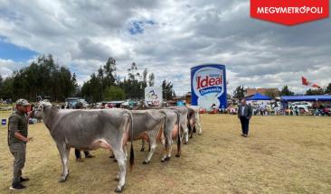 Per&uacute;: Nestl&eacute; y comit&eacute; de feria cerraron exitosa Feria Ganadera Polloc
