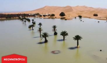 El desierto del Sahara se transforma por inundaciones inesperadas
