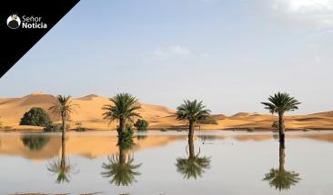 Lluvias inundan el desierto del Sahara por primera vez en medio siglo