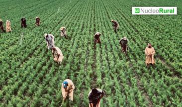 El futuro de la producci&oacute;n agr&iacute;cola bajo la Agenda 2030