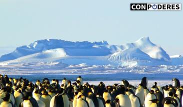Australia proteger&aacute; el 52% de sus oc&eacute;anos para 2030