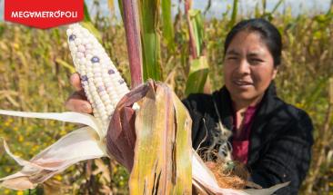 M&eacute;xico enfrenta retos urgentes en el D&iacute;a Mundial de la Alimentaci&oacute;n