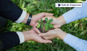 C&oacute;mo hacer de tu empresa un l&iacute;der en sostenibilidad