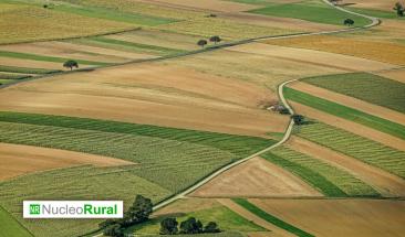 La agricultura diversificada puede mejorar la seguridad alimentaria