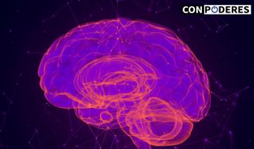 EXTE revela cinco tendencias que moldear&aacute;n el marketing digital futuro