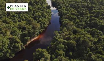 La deforestaci&oacute;n ha hecho que la Amazon&iacute;a emita m&aacute;s CO2 del que absorbe