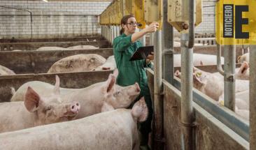 Innovaci&oacute;n en ganader&iacute;a impulsa la sostenibilidad y el bienestar animal