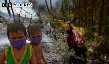 Plan International lanza campa&ntilde;a para proteger a ni&ntilde;as en crisis