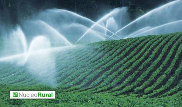 Cinco cultivos con mayor consumo h&iacute;drico en el mundo