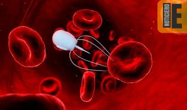 Nanorobots reparan aneurismas cerebrales con precisi&oacute;n revolucionaria