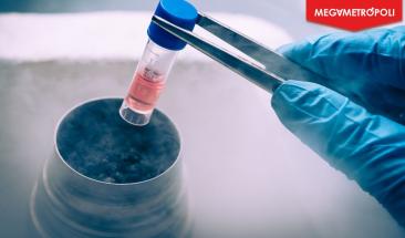 Cient&iacute;ficos desarrollan c&eacute;lulas madre que reemplazan donaciones de m&eacute;dula &oacute;sea