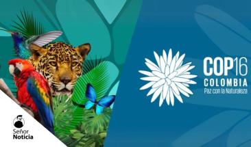 COP16 impulsa acciones urgentes para proteger la biodiversidad
