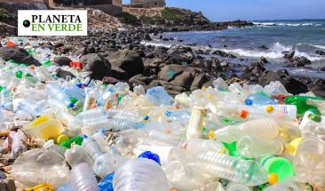 Cient&iacute;ficos desarrollan bacteria que promete descomponer pl&aacute;sticos r&aacute;pidamente