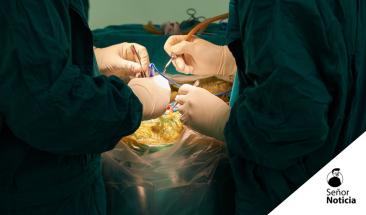 Cient&iacute;ficos logran reanimar cerebro de cerdo fallecido