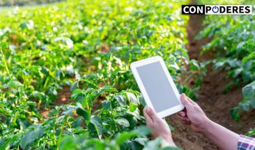 Conectividad en zonas rurales impulsa el desarrollo comunitario