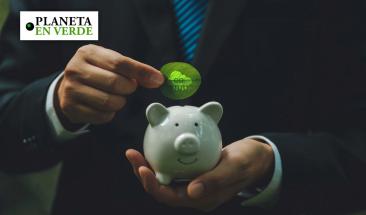 Crece el mercado voluntario de carbono en M&eacute;xico