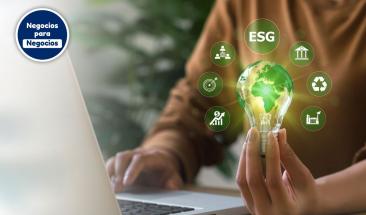 Sostenibilidad empresarial: normativas y nuevas oportunidades para pymes en Europa