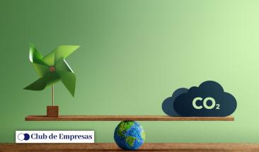 Mercados de carbono: oportunidades para empresas en la sostenibilidad